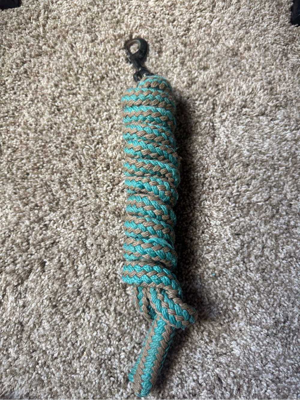 Azure blue and Tan Lead Rope